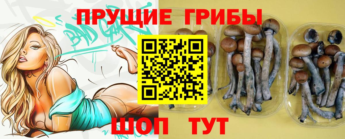 Псилоцибиновые грибы мухоморы  купить  цена  Усть-Джегута  Вход с VPN 