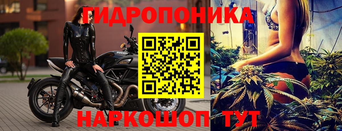 Усть-Джегута  Марихуана тримм  Вход с VPN  Бошки Шишки OG Kush  Бошки марихуана марихуана 