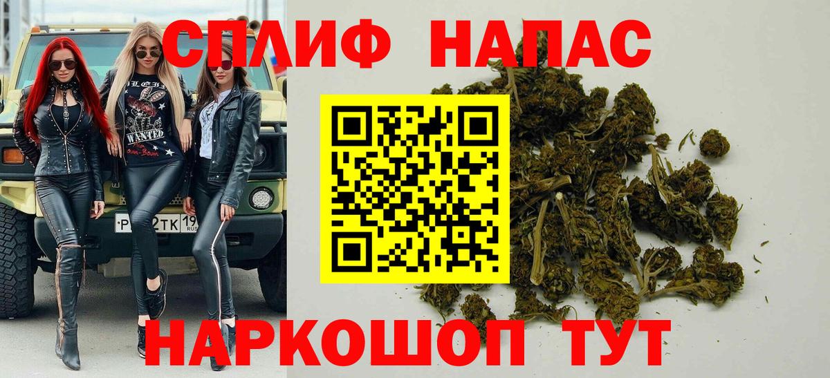 Марихуана марихуана Усть-Джегута